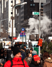 New York City’s Ban on Weight Discrimination Is Overweight with Other Legal Issues