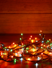 Top Five Lawsuits of a Holiday Season Gone Wrong