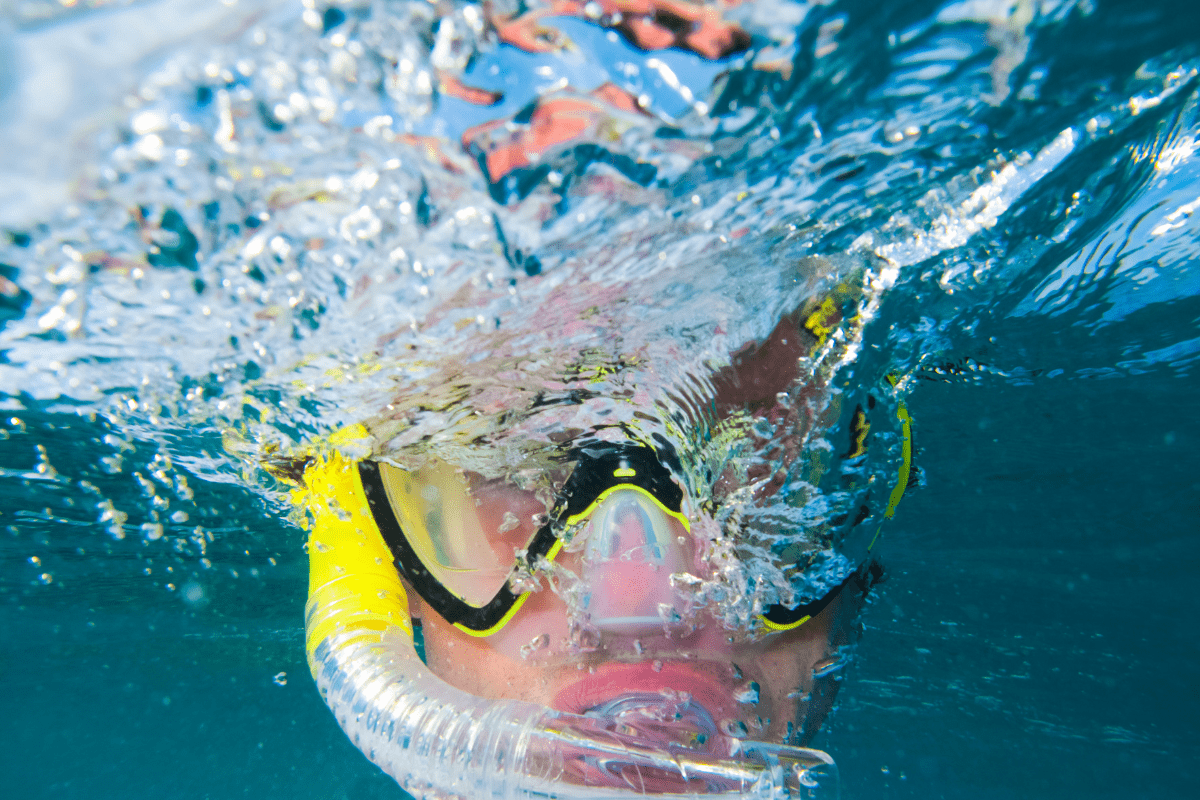 Snorkling in Hawaii