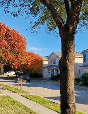 Property Nuisance:  Basketball Hoop in Driveway or Nosy Neighbor?
